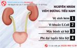 Nhiễm trùng đường tiểu – dấu hiệu nhận biết sớm