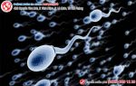 Tinh trùng đặc tinh trùng vón cục mối hiểm họa gây vô sinh