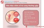 Viêm cổ tử cung là gì? Có chữa được không?