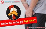 Có cách chữa sùi mào gà tại nhà hiệu quả không?