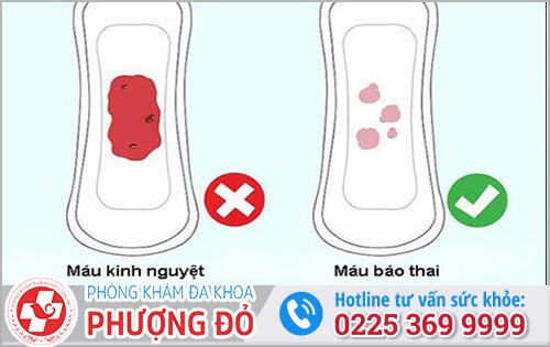 Dấu hiệu máu báo thai khi có thai được 5 tuần