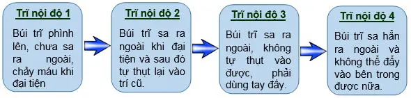 Các cấp độ trĩ nội