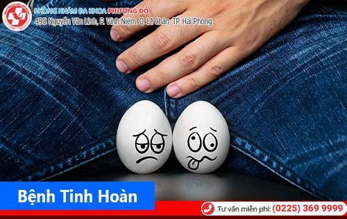 Bệnh tinh hoàn – Nỗi sợ của đàn ông