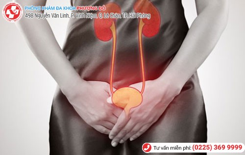 Nguy cơ suy thận do viêm đường tiết niệu Nguy cơ suy thận do viêm đường tiết niệu