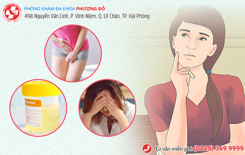 biểu hiện viêm tuyến tiền liệt nam, nữ