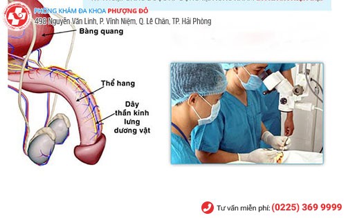 Chặn dây thần kinh lưng dương vật - cách chữa quan hệ nhanh ra hiệu quả Chặn dây thần kinh lưng dương vật - cách chữa quan hệ nhanh ra hiệu quả