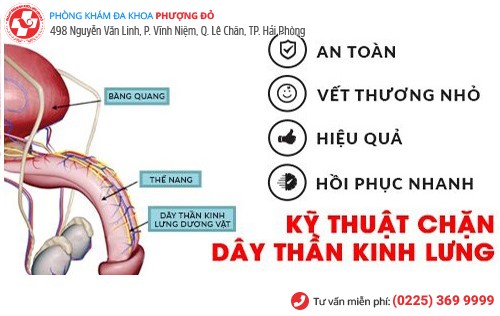 kỹ thuật chặn dây thần kinh dương vật