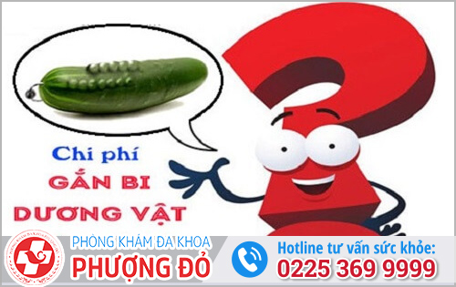 Chi phí gắn bi
