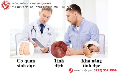 Dấu hiệu nam giới bị vô sinh Dấu hiệu nam giới bị vô sinh