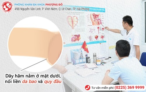 Phòng khám đa khoa Phượng Đỏ