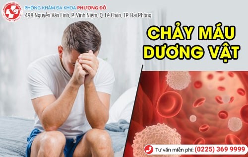 Phòng khám đa khoa Phượng Đỏ