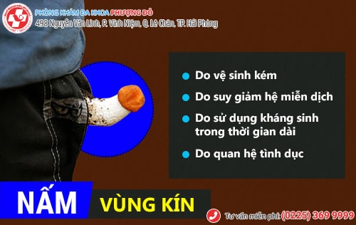 Phòng khám đa khoa Phượng Đỏ