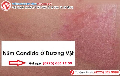 Phòng khám đa khoa Phượng Đỏ