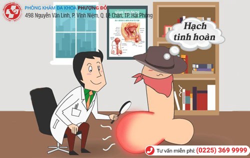 Phòng khám đa khoa Phượng Đỏ