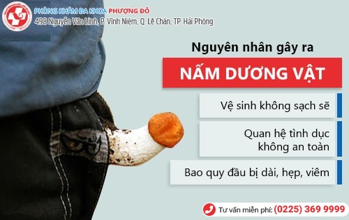 Phòng khám đa khoa Phượng Đỏ