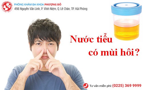 Phòng khám đa khoa Phượng Đỏ