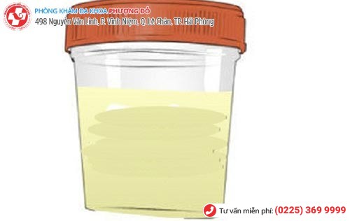 Phòng khám đa khoa Phượng Đỏ