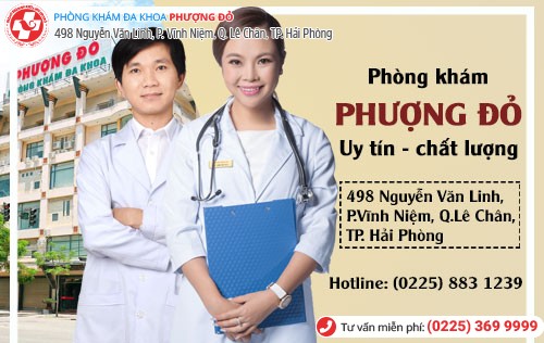 hình ảnh phòng khám phượng đỏ