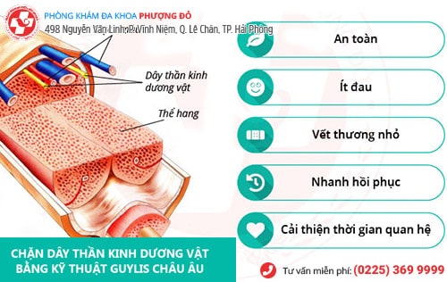 chữa yếu sinh lý tại nhà