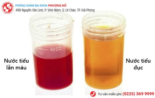 Phòng khám đa khoa Phượng Đỏ