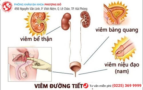 Phòng khám đa khoa Phượng Đỏ