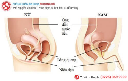 Phòng khám đa khoa Phượng Đỏ