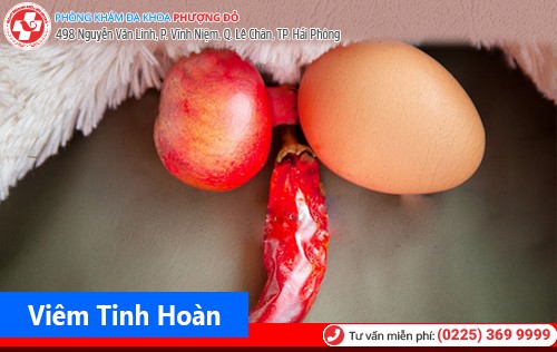Cùng tìm hiểu bệnh viêm tinh hoàn