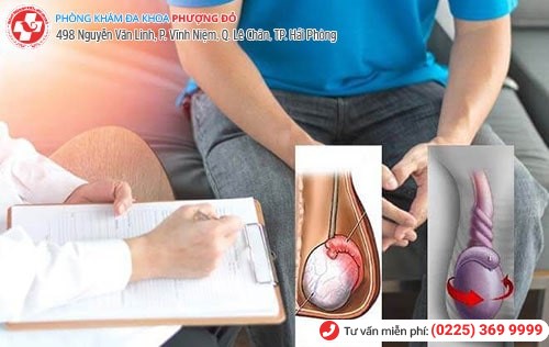 Xoắn tinh hoàn khiến nam giới bị đau tinh hoàn Xoắn tinh hoàn khiến nam giới bị đau tinh hoàn