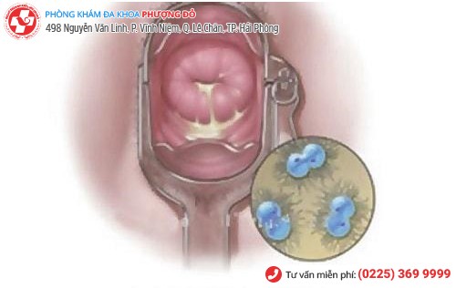 bệnh xã hội