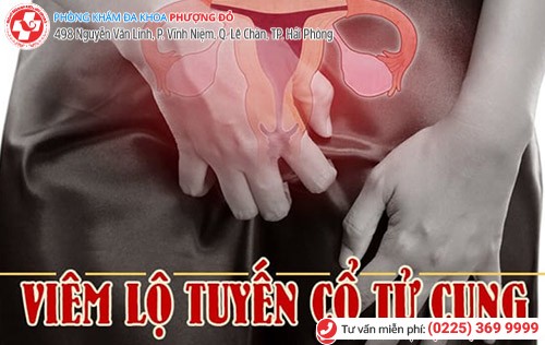 Phòng khám đa khoa Phượng Đỏ