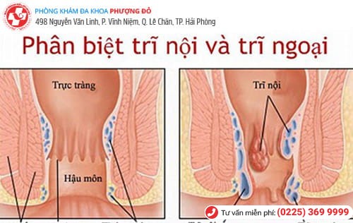 Phòng khám đa khoa Phượng Đỏ