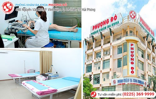 Phượng Đỏ áp dụng các phương pháp chữa bệnh kinh nguyệt hiệu quả Phượng Đỏ áp dụng các phương pháp chữa bệnh kinh nguyệt hiệu quả