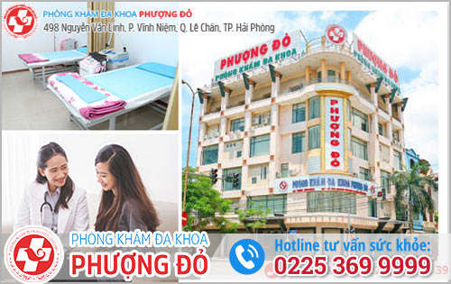 Chữa bệnh phụ khoa với bác sĩ giỏi về ngay trong ngày với Phượng Đỏ