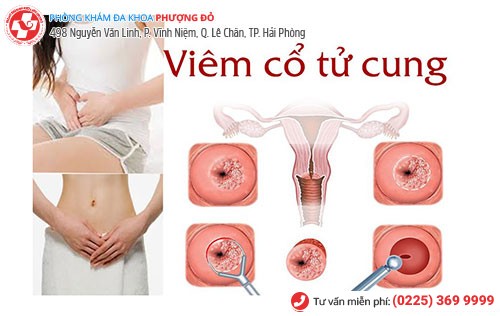 Phòng khám đa khoa Phượng Đỏ