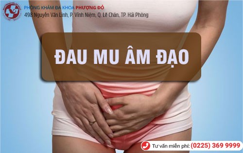 Phòng khám đa khoa Phượng Đỏ