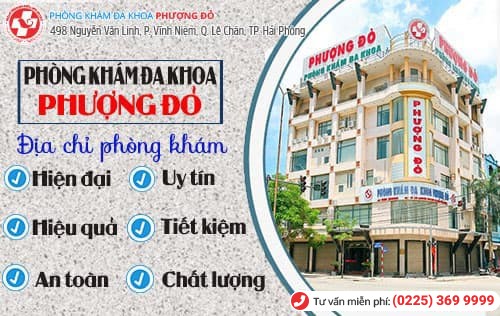 Phượng Đỏ - địa chỉ chữa bệnh phụ khoa uy tín ở Hải Phòng Phượng Đỏ - địa chỉ chữa bệnh phụ khoa uy tín ở Hải Phòng