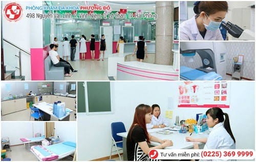 Phòng Khám Phượng Đỏ - địa chỉ khám chữa bệnh uy tín ở Hải Phòng Phòng Khám Phượng Đỏ - địa chỉ khám chữa bệnh uy tín ở Hải Phòng