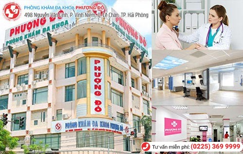 Phòng Khám Phượng Đỏ - địa chỉ chữa bệnh rối loạn kinh nguyệt hiệu quả Phòng Khám Phượng Đỏ - địa chỉ chữa bệnh rối loạn kinh nguyệt hiệu quả