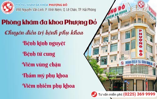 Phượng Đỏ - địa chỉ khám phụ khoa uy tín Phượng Đỏ - địa chỉ khám phụ khoa uy tín