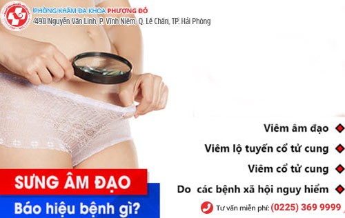Phòng khám đa khoa Phượng Đỏ