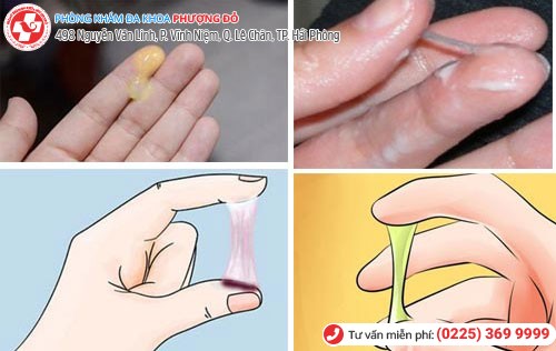 Phòng khám đa khoa Phượng Đỏ