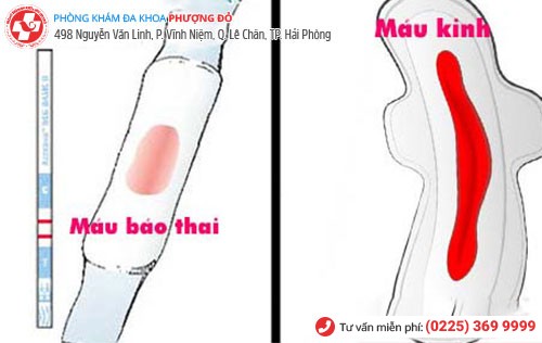 Máu báo thai liệu có phải mang thai không?