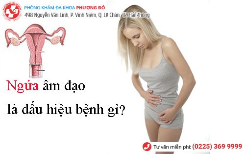 Ngứa âm đạo là dấu hiệu của bệnh gì?