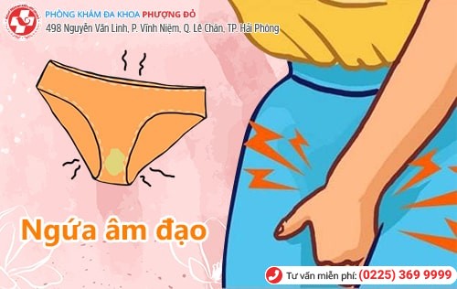 Phòng khám đa khoa Phượng Đỏ