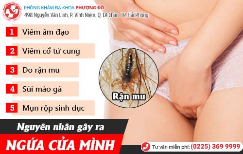 Ngứa cửa mình - Tưởng đơn giản nhưng cực nguy hiểm Ngứa cửa mình - Tưởng đơn giản nhưng cực nguy hiểm