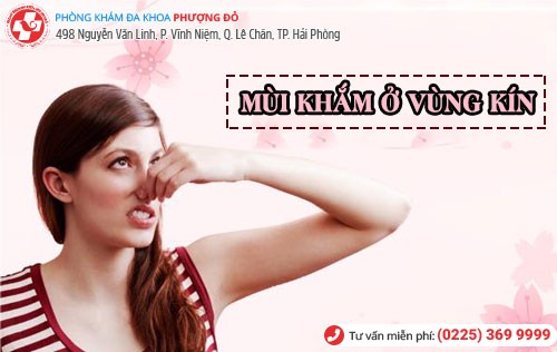 Phòng khám đa khoa Phượng Đỏ