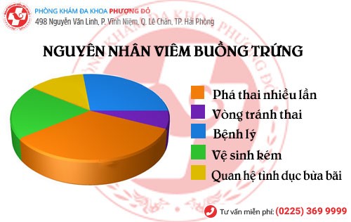 Bảng thống kê nguyên nhân gây viêm buồng trứng Nguyên nhân viêm buồng trứng