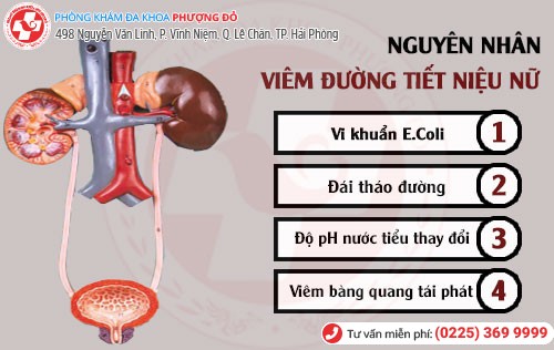 Phòng khám đa khoa Phượng Đỏ