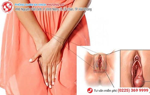 Phòng khám đa khoa Phượng Đỏ