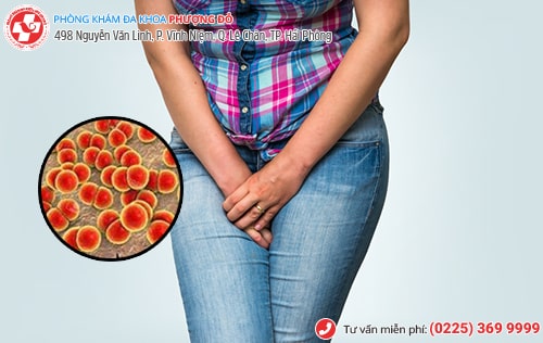 Thuốc bôi phụ khoa được chị em sử dụng nhiều hiện nay Thuốc bôi phụ khoa được chị em sử dụng nhiều hiện nay